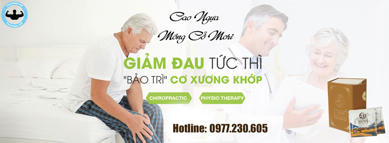 Công dụng Cao Ngựa Mông Cổ Mori