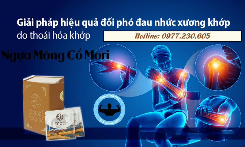 Thành phần Cao Ngựa Mông Cổ Mori