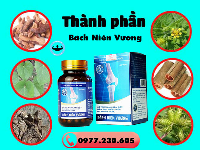 Thành phần của viên uống Bách Niên Vương