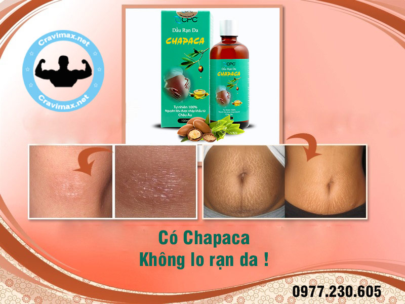 giới thiệu về chapaca