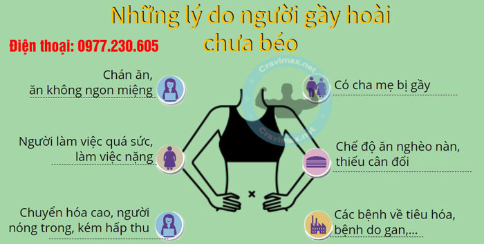 tăng cân SQA