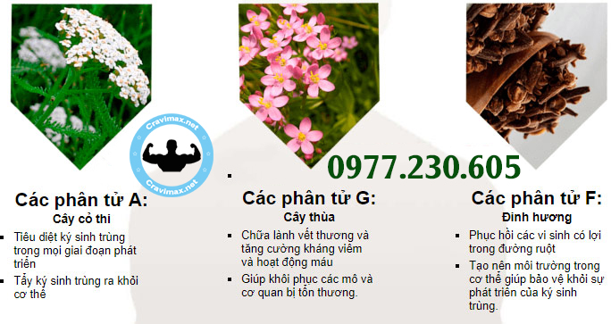 thành phần có trong detoxherb