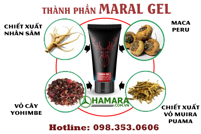 thành phần maral gel