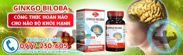 Ginkgo-biloba banner