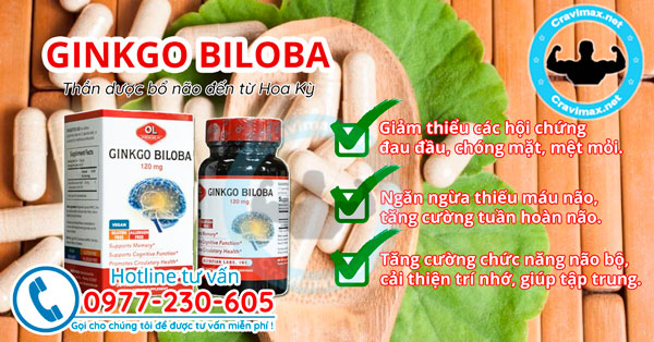 Ginkgo-biloba cong-dung