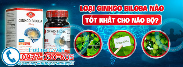 Ginkgo-biloba thanh-phan