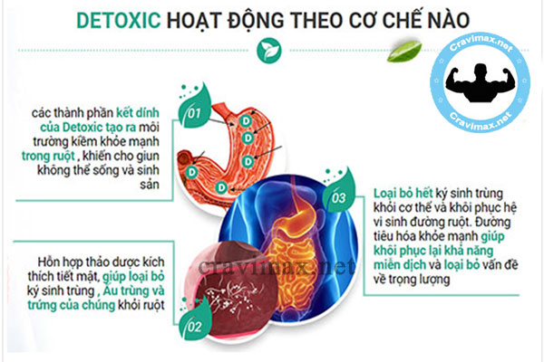 cơ chế hoạt động viên uống detoxic