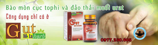 đối tượng sử dụng gut metaherb