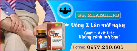 cách sử dụng gut metaherb