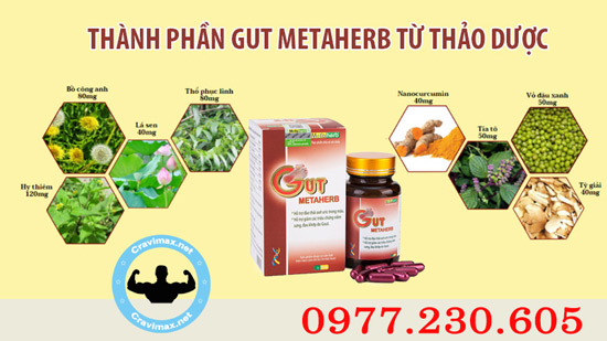 thành phần gut metaherb