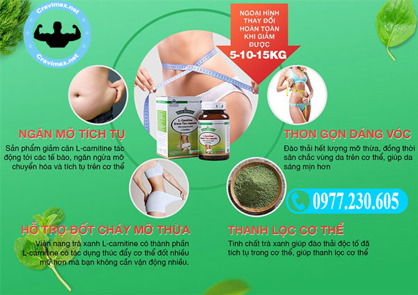 L-Carnitine Green Tea Capsule