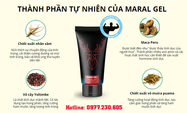 thành phần maral gel