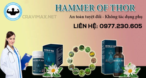 hammer of thor bán ở đâu tphcm