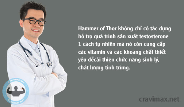 hammer of thor giá bao nhiêu 