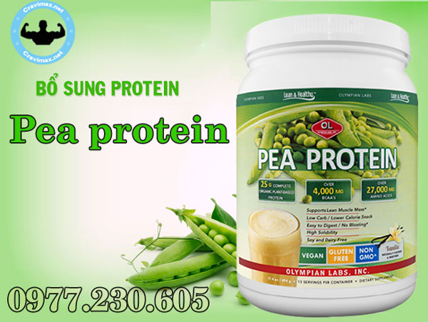 pea-protein-1