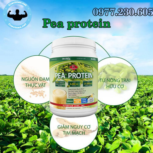 pea-protein