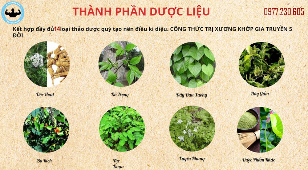 thành phần thông tý đan