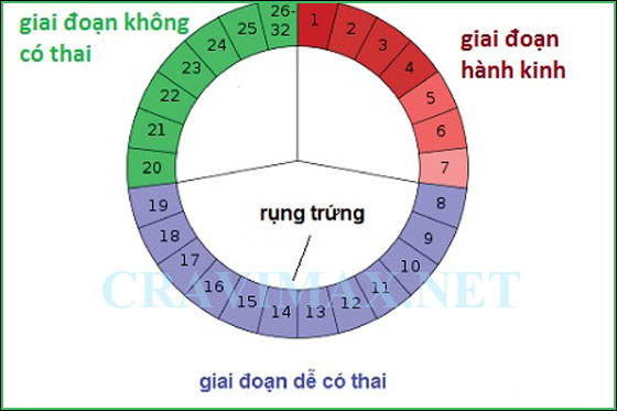 cach-quan-khong-co-thai-tinh-ky-kinh-nguyet