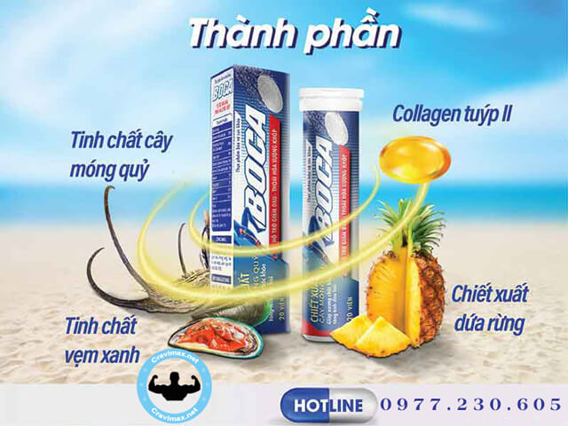 thành phần viên sủi xương khớp boca