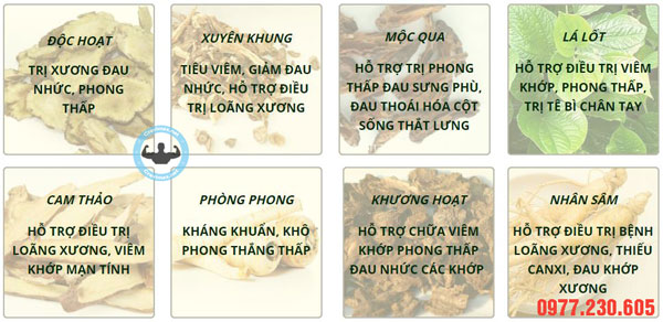 Thành phần Xương Khớp Mộc Thanh